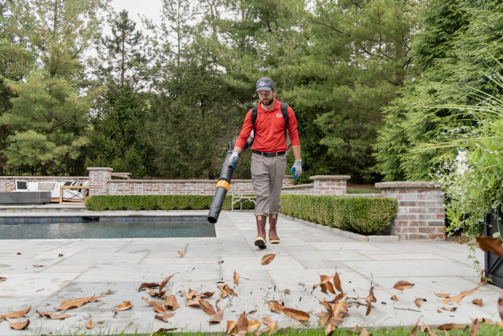 RYAN pro cleaning up leaves