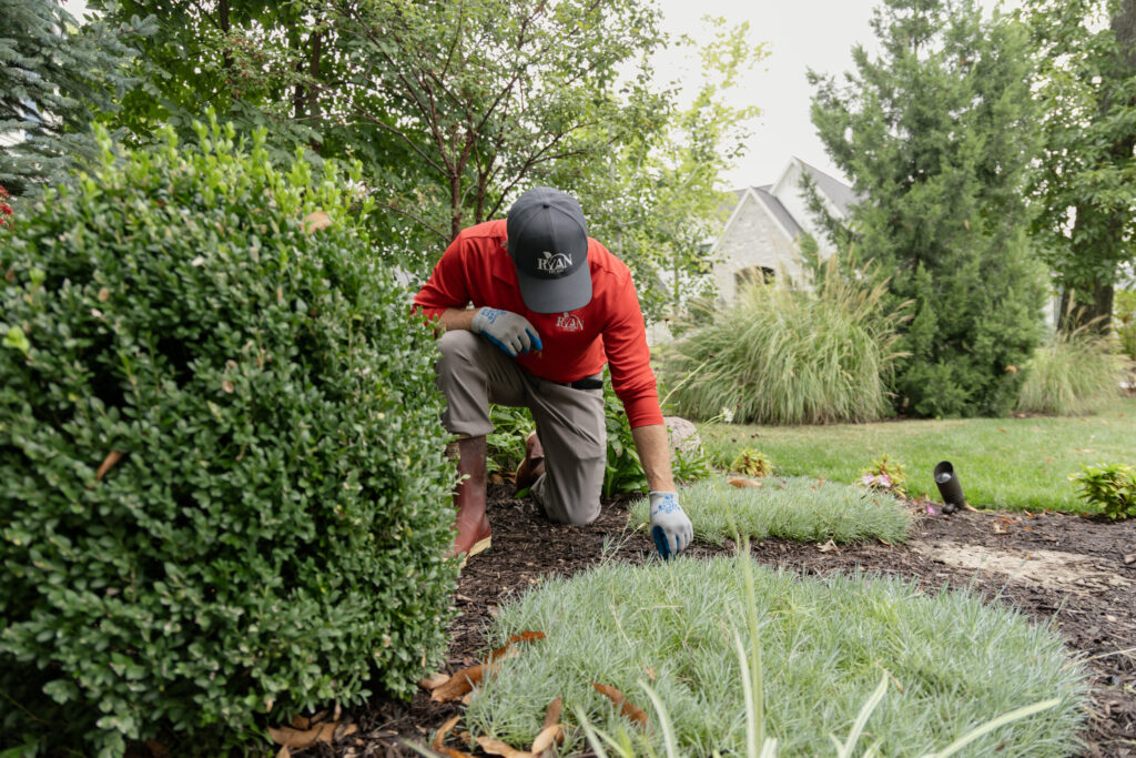 RYAN pro working with bushes and shrubs