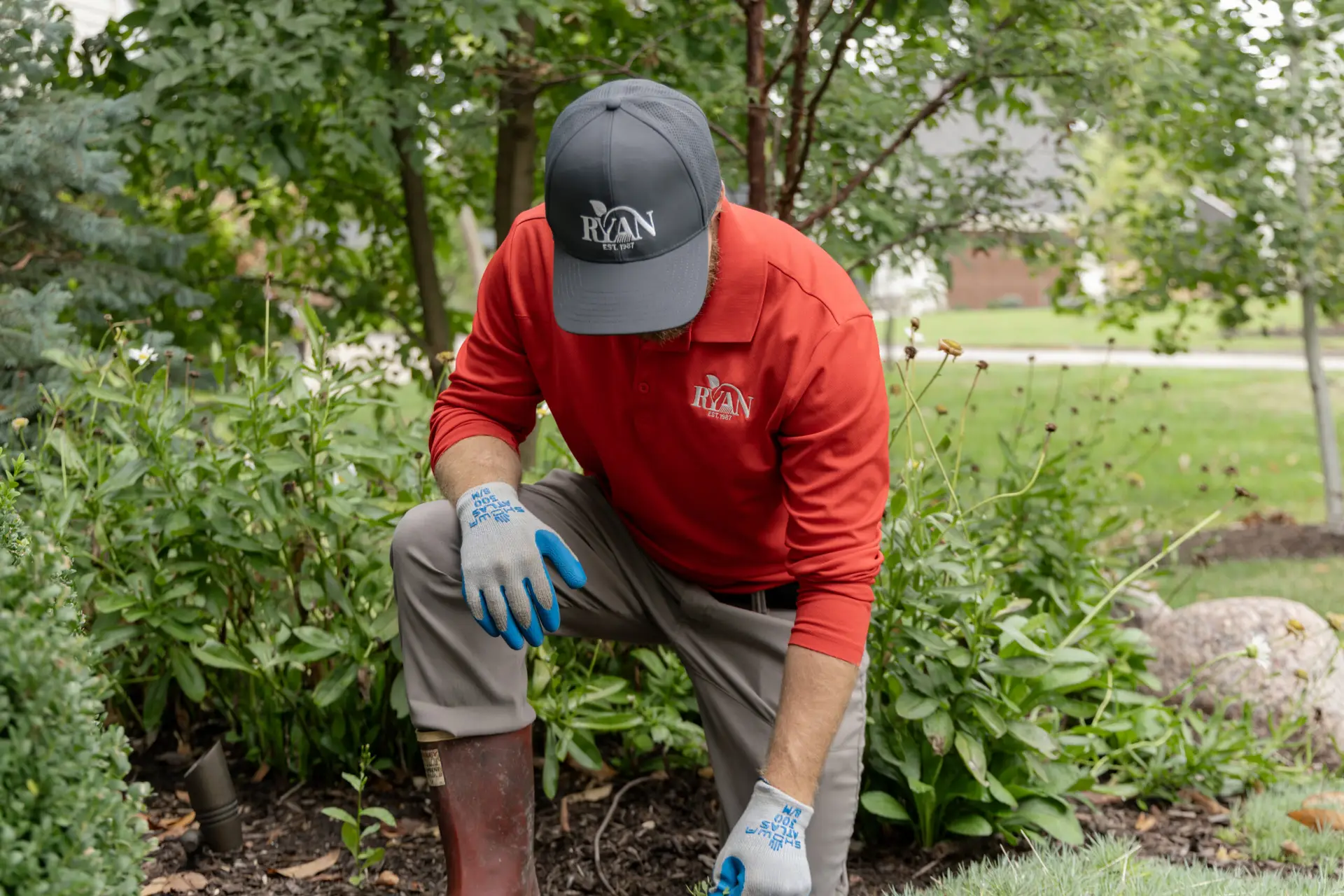 ryan pro working with shrubs